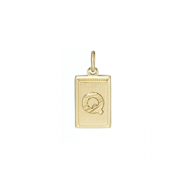 PENDENTE FOSSIL OUTLET...